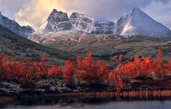 Autumn, forest, mountains, pond