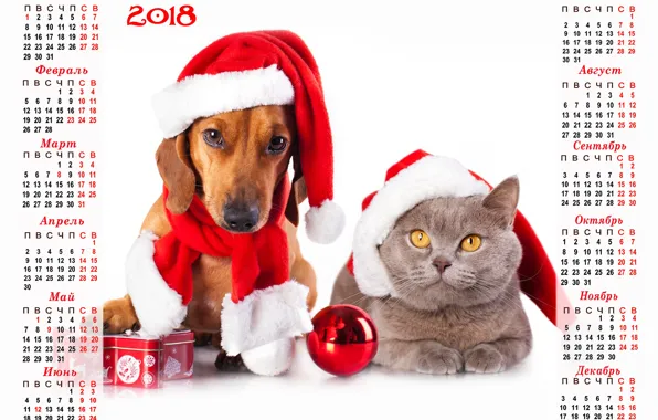 Cat, holiday, dog, scarf, Christmas, red, white background, New year
