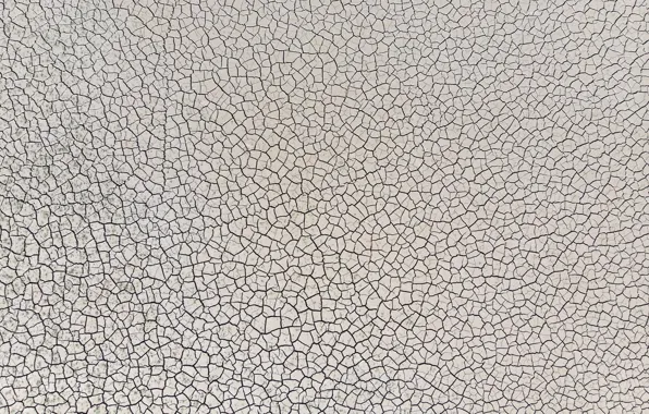 Surface, cracked, earth
