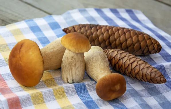 Table, mushrooms, towel, mushrooms, trio, bumps, white mushrooms, tough guys