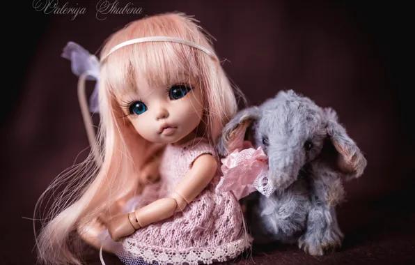 Toys, doll, bear