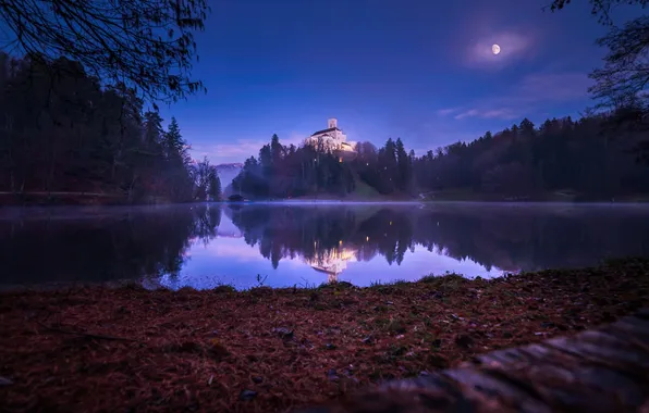 Picture forest, the sky, clouds, trees, landscape, nature, lake, castle