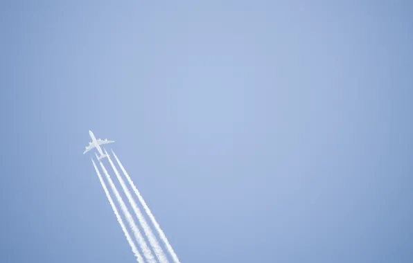 The sky, trail, the plane