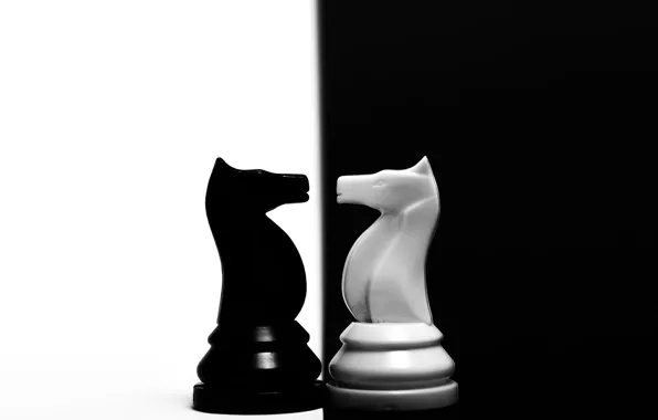 Horse, chess, figure, contrast