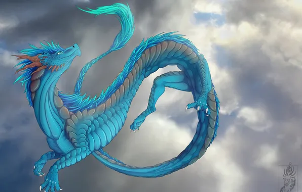 The sky, look, clouds, blue, fiction, dragon, art, tail