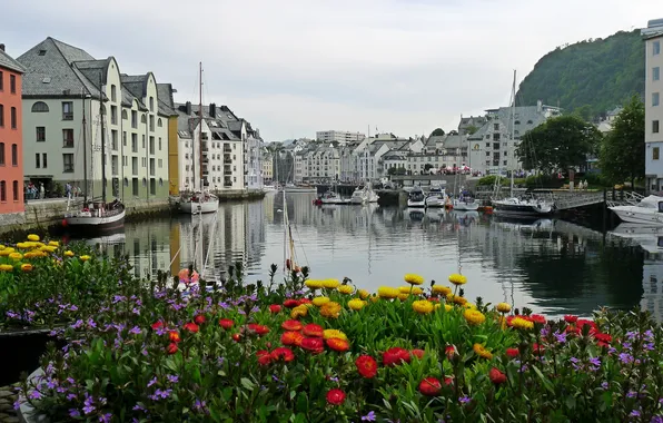 Water, flowers, home, boats, The city