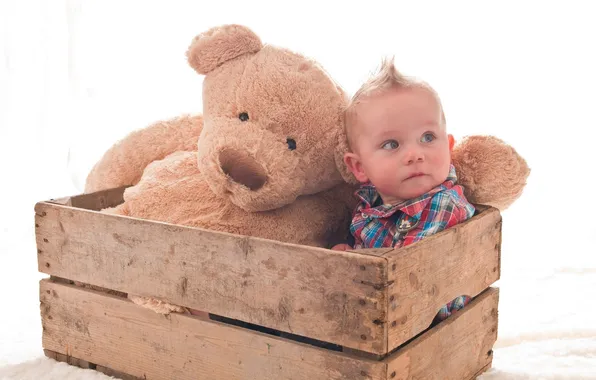 Toy, boy, box, child, Teddy bear, hair