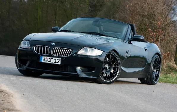 Road, black, tuning, BMW, BMW, sports car, the bushes, Coupe