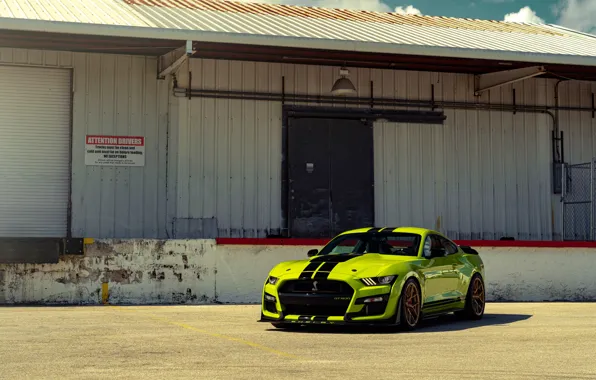 Shelby, GT500, Light green