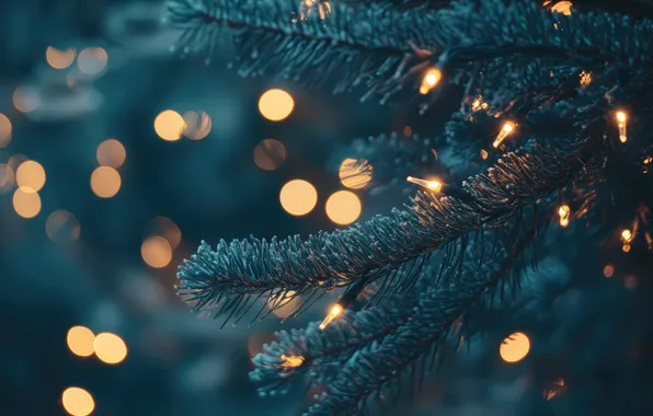 Winter, light, branches, lights, glare, the dark background, holiday, texture
