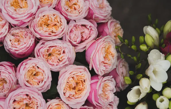 Flowers, roses, bouquet, pink, white, a lot, different