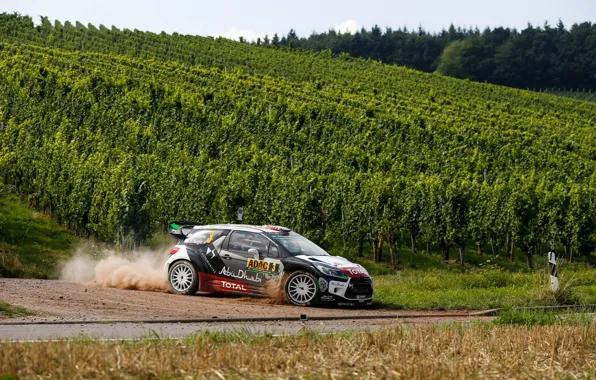 Picture Dust, Turn, Citroen, DS3, WRC, Rally, Rally, Kris Meeke