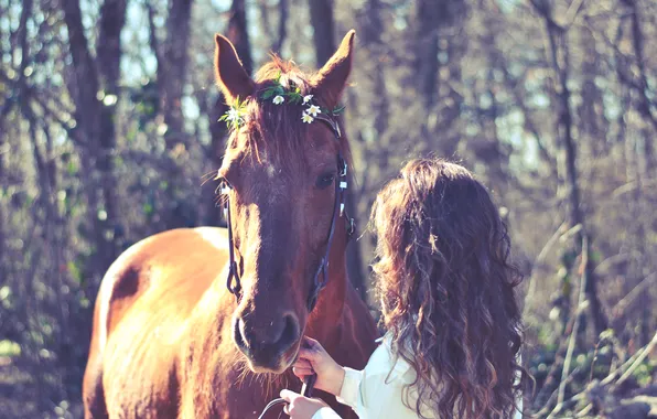 Picture girl, animal, horse, hair, horse