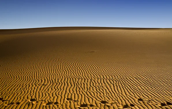 Sand, desert, trail
