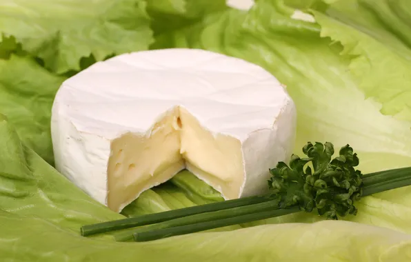 Greens, cheese, salad