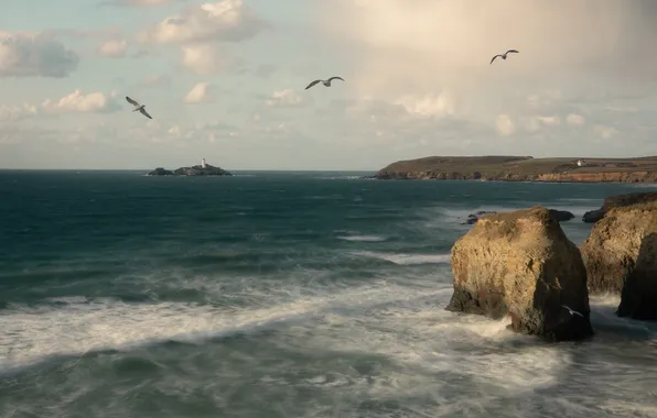 Sea, wave, the sky, clouds, flight, birds, stones, rocks