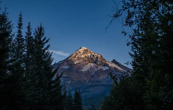 Forest, the sky, trees, mountains, rocks, USA, Oregon, North America