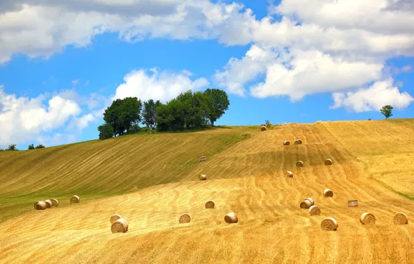 Field, the sky, clouds, trees, hills