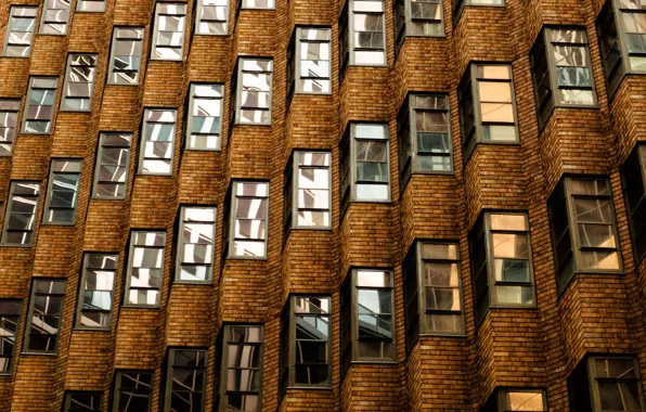 Windows, bricks, Australia, Sydney, building