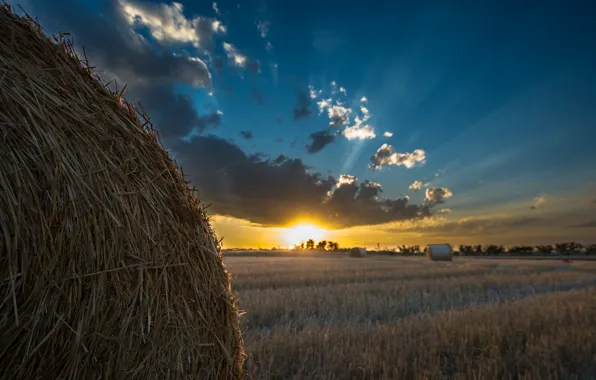 Field, landscape, sunset, hay