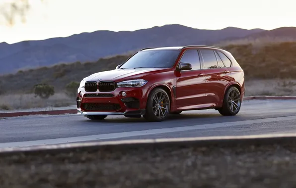 Picture BMW, RED, X5M, Sight, Adaptive LED