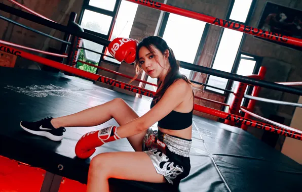 Girl, face, pose, sport, Boxing, the ring
