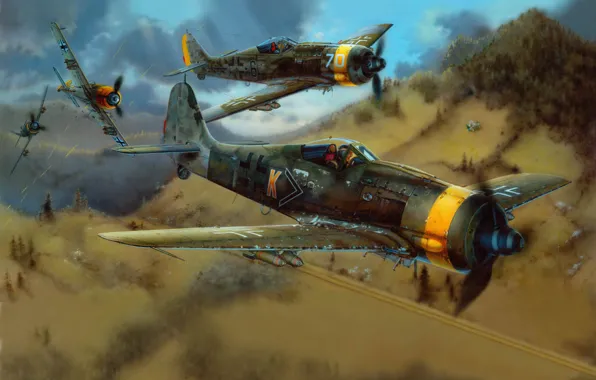 The sky, war, Wallpaper, flight, the plane. fighter, Focke-Wulf