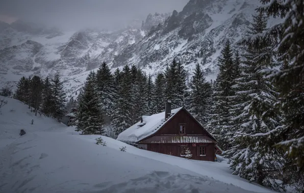 Winter, forest, snow, mountains, fog, house, hills, the slopes