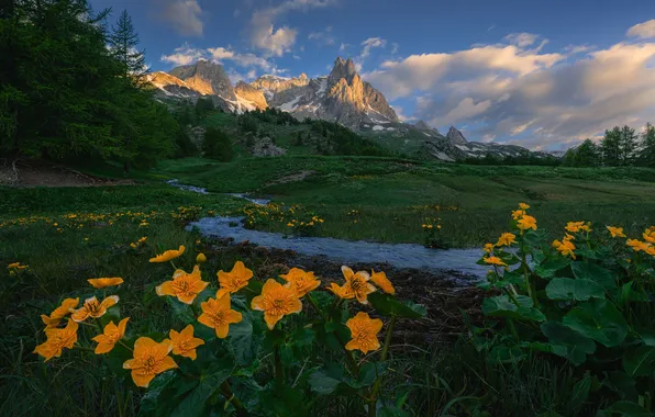 Greens, summer, the sky, clouds, light, flowers, mountains, river