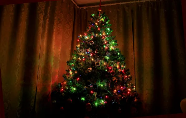Picture tree, spruce, Christmas, New year, Christmas, Tree, New, Christmas tree