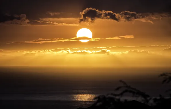 Beach, the sky, the sun, sunset, the ocean, horizon, Sunset, Hawaii