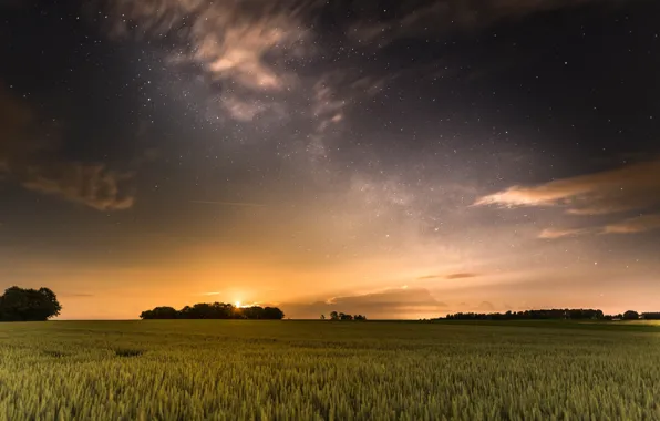 Field, the sky, stars, the evening