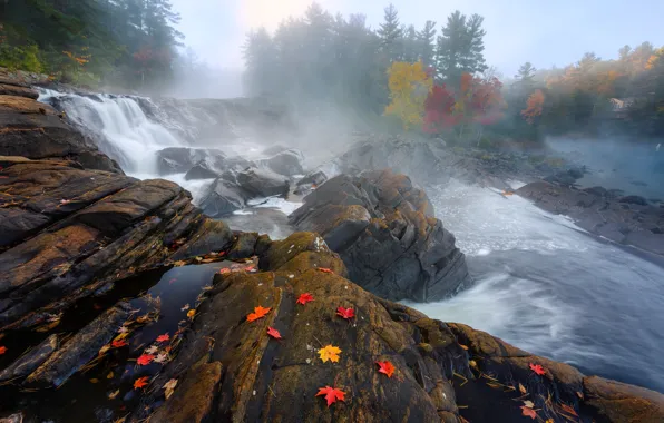 Picture autumn, nature, river, rocks, paint, foliage, stream