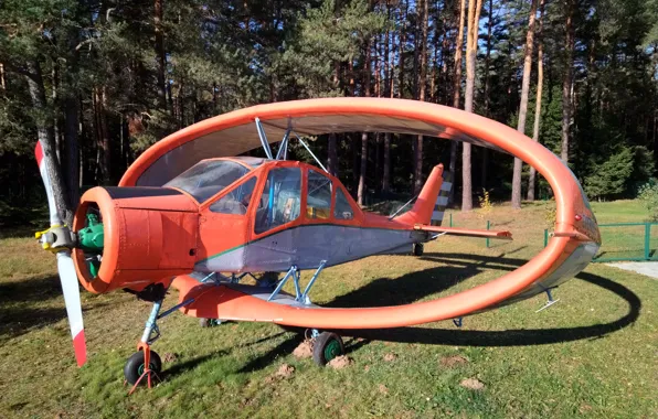 Aviation, the plane, homemade aircraft, ringplane