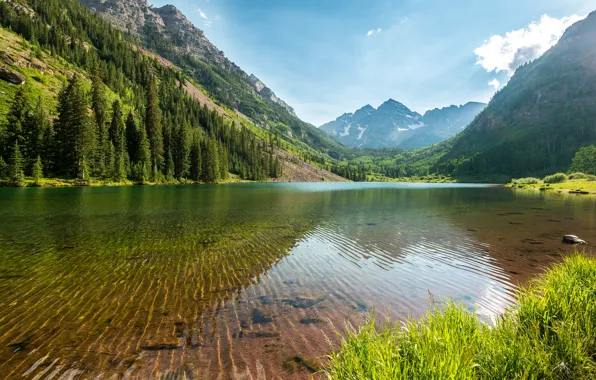 Forest, water, trees, mountains, lake, stones, the bottom, transparent