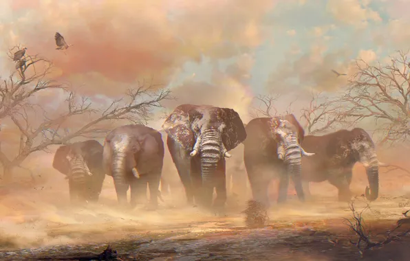 Picture sand, trees, desert, elephant, Africa, vulture