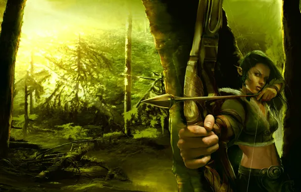 elven ranger wallpaper