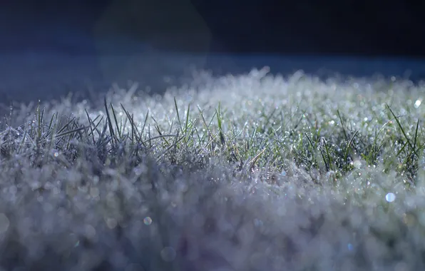 Picture cold, frost, grass, lawn