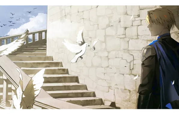 The sky, birds, castle, ladder, male, Fire Emblem, Dimitri Alexandre Blaiddyd