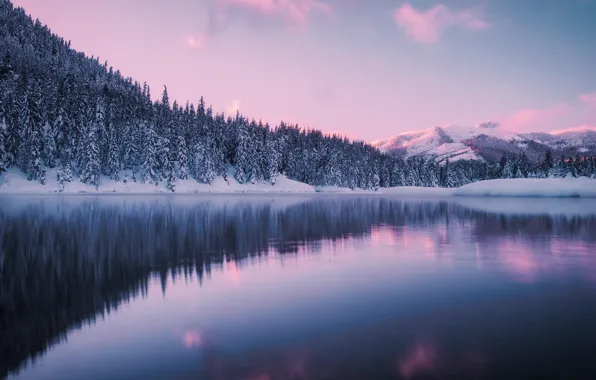 Winter, forest, mountains, lake, pond, Washington, Washington, Gold Creek Pond