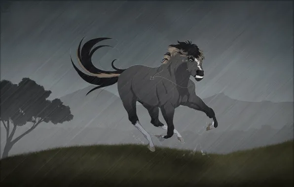 Rain, horse, horse, tears, cross