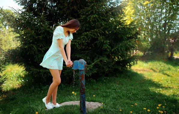 Picture grass, dress, nature, water, flowers, model, women, brunette