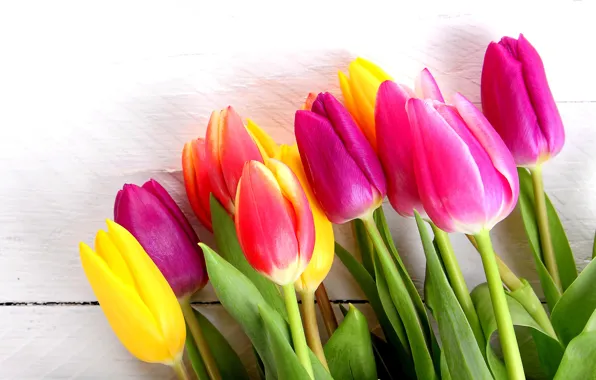 Picture flowers, bouquet, colorful, tulips, wood, romantic, tulips, spring