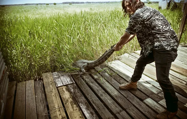 Grass, photo, Board, the situation, crocodile, tail, actor, bridges