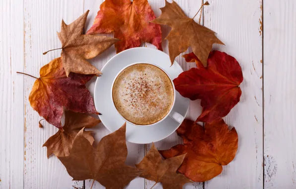 Autumn, leaves, background, colorful, wood, background, autumn, leaves