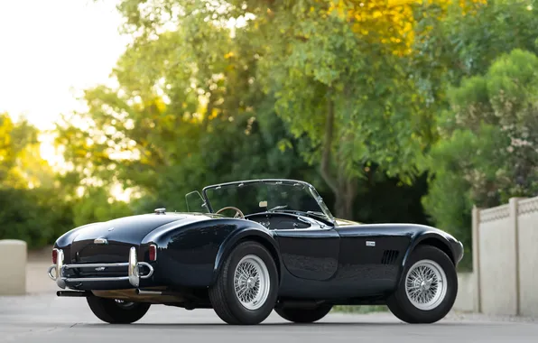 Black, Shelby, retro cars, 1963, Shelby Cobra, the only instance, Cobra 289, sports cars