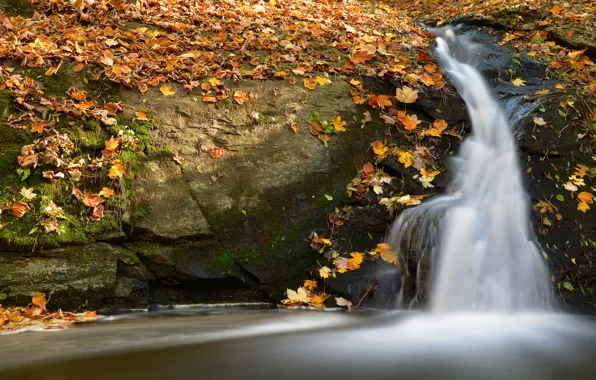 Autumn, leaves, light, stones, foliage, waterfall, yellow, falling leaves