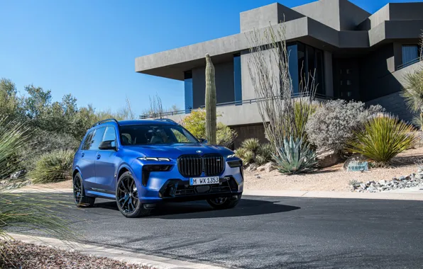House, Blue, Front, Side, Road, xDrive, 2022, Restyling