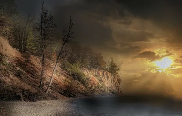 Forest, sunset, nature, shore