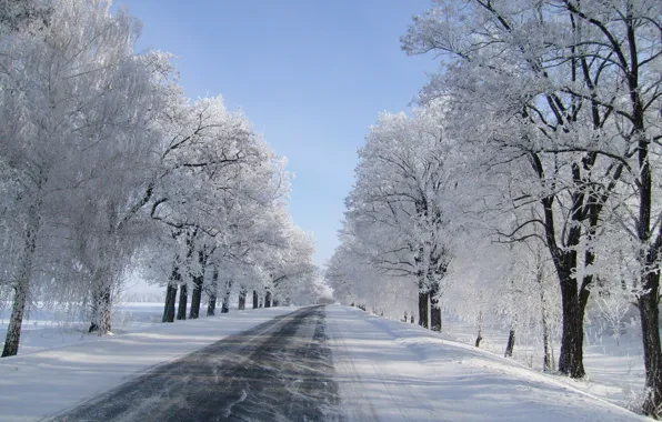 Picture winter, road, snow, trees
